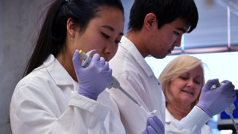 Students using a syringe under guidance of their professor