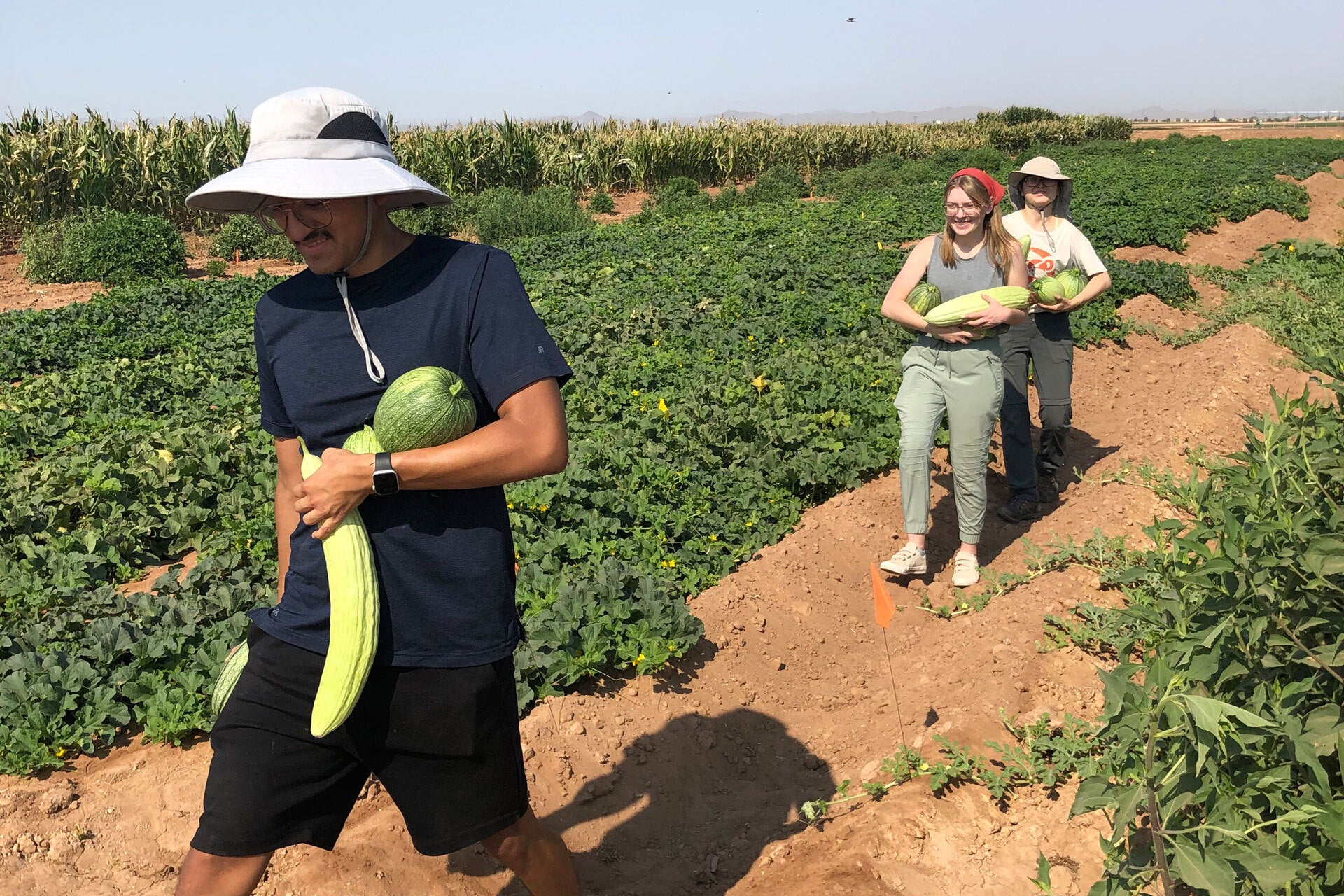 Three people walking down a dirt path with multiple squashes in their hands