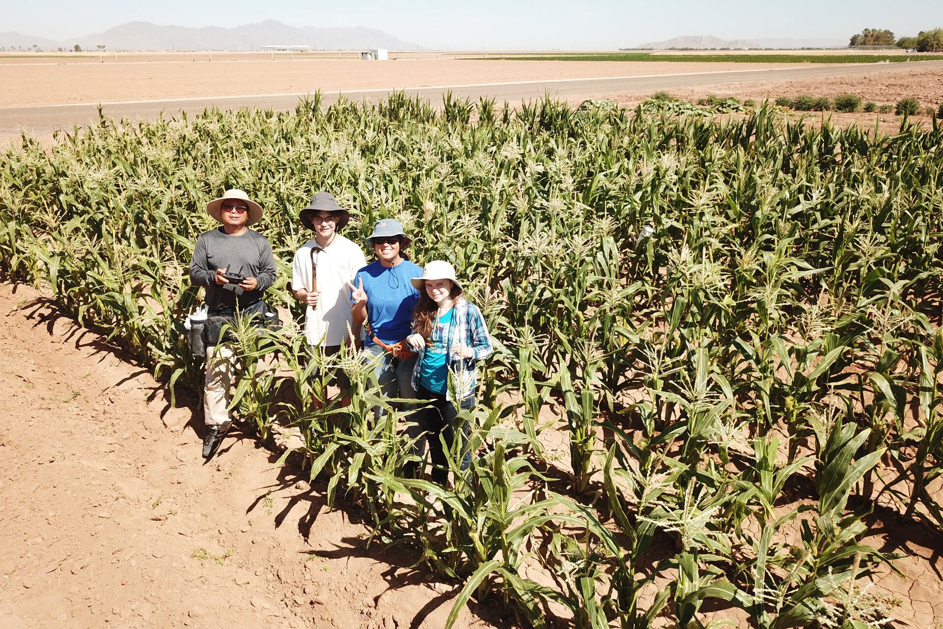 Four people standing in a field of corn with mountains in the background