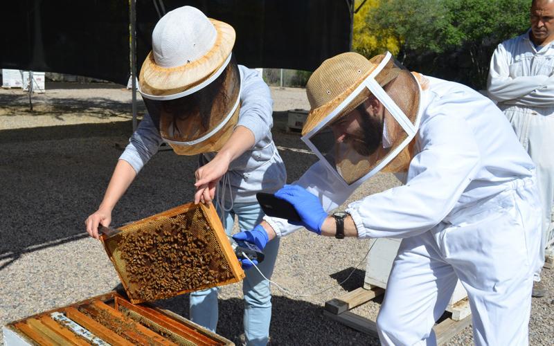 hobby beekeeping class
