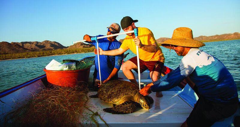 Saving seat turtles