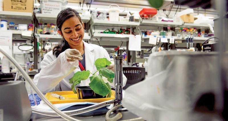 Student in lab