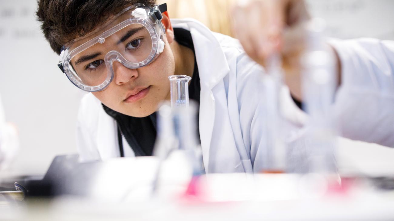 Undergraduate research and experiential learning