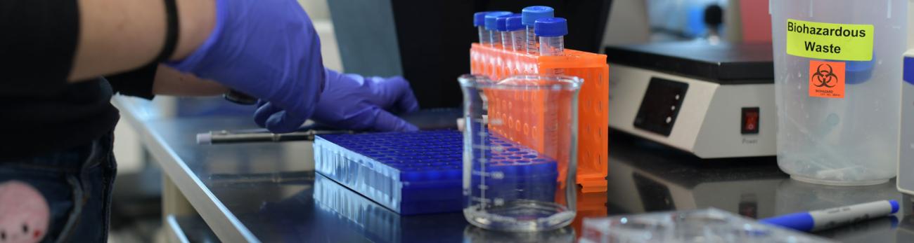 Biology faculty (MS/PhD program)