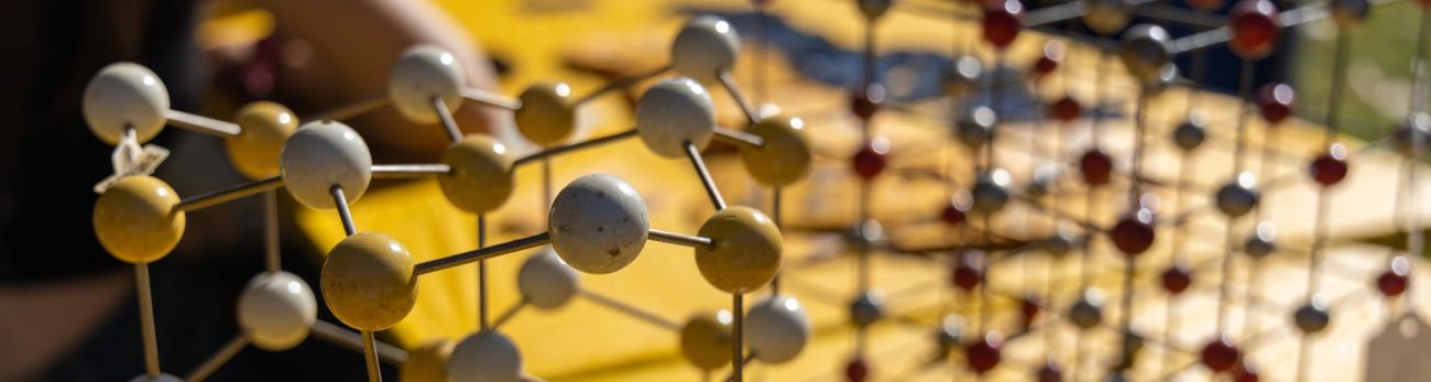 Molecular and cellular biosciences (MS/PhD program)