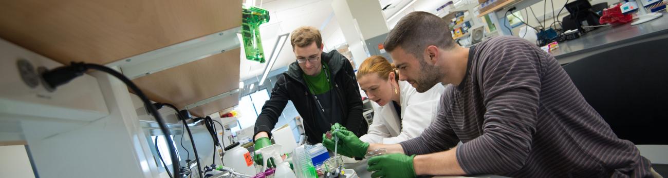 Scientific teaching in higher education certificate